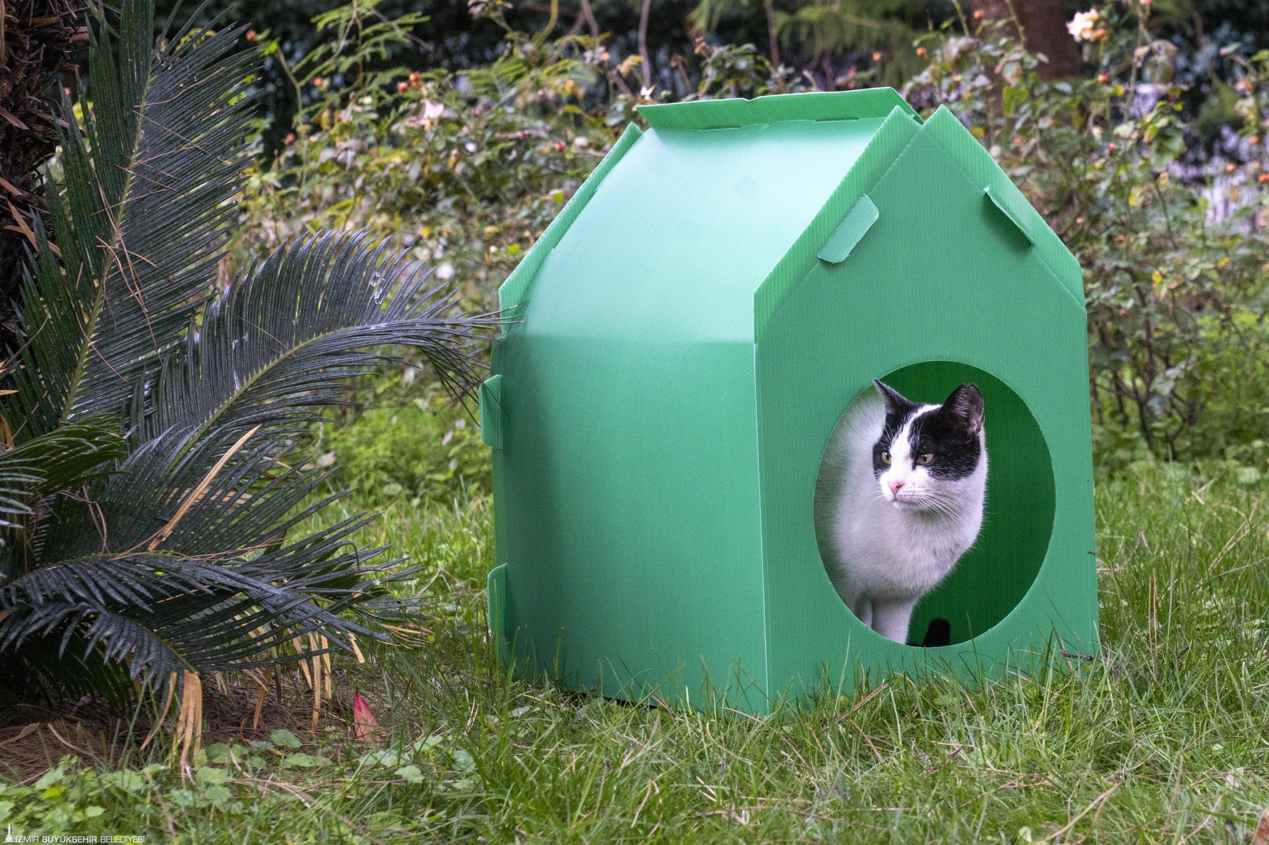 İzmir'de can dostlar için 'sıcak' seferberlik 1 İzmir'de can dostlar için 'sıcak' seferberlik