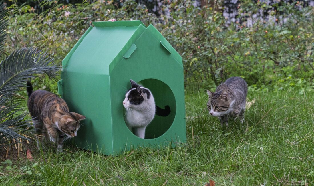 İzmir Büyükşehir Belediye Başkanı Dr. Cemil Tugay’ın sosyal medya üzerinden