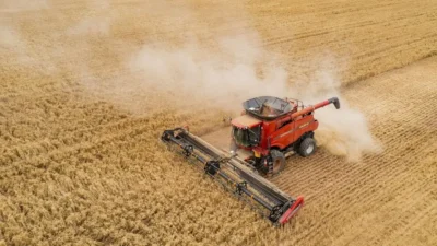 Tarım-ÜFE'de Aralık ayı rakamları belli oldu. Balıkçılıktan hayvancılığa kadar her