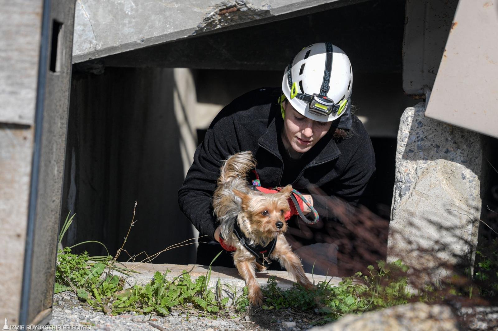 Afetlerde mahsur kalan hayvanlar unutulmayacak: Hiçbir can 'nefessiz' kalmayacak