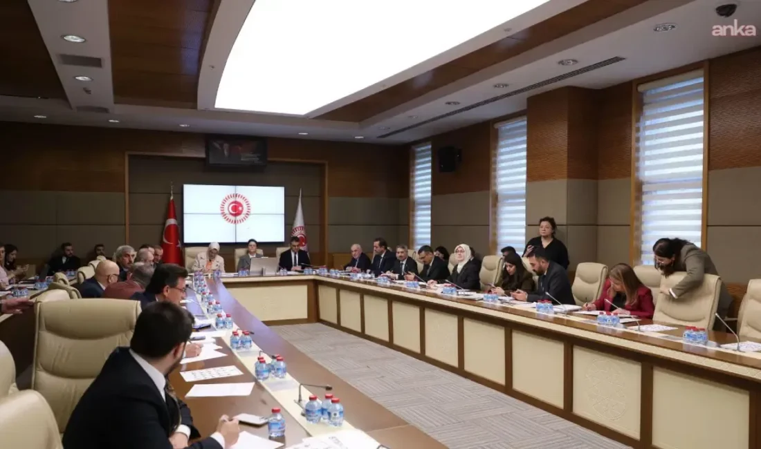 TBMM İnsan Haklarını İnceleme Komisyonu, çocukları dijital mecralardaki risklerden korumayı