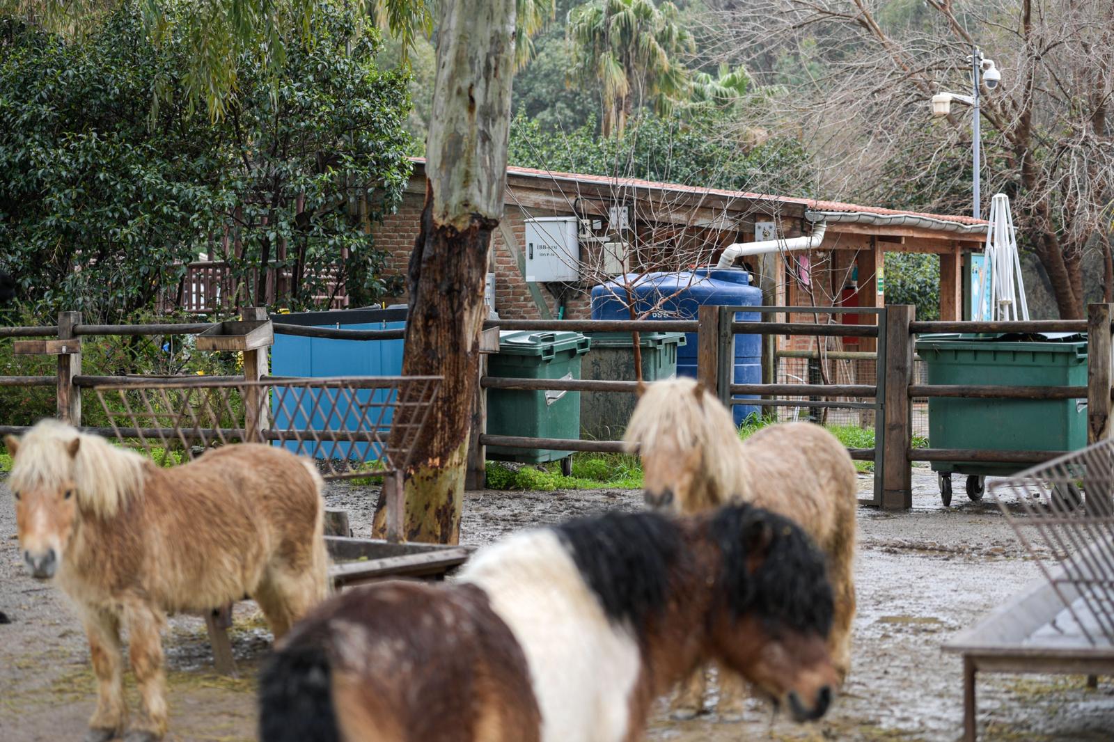 İzmir'in su geleceğinde 'yağmur suyu hasadı' dönemi: İşte hasat başlatılan noktalar 7 İzmir'in su geleceğinde 'yağmur suyu hasadı' dönemi: İşte hasat başlatılan noktalar
