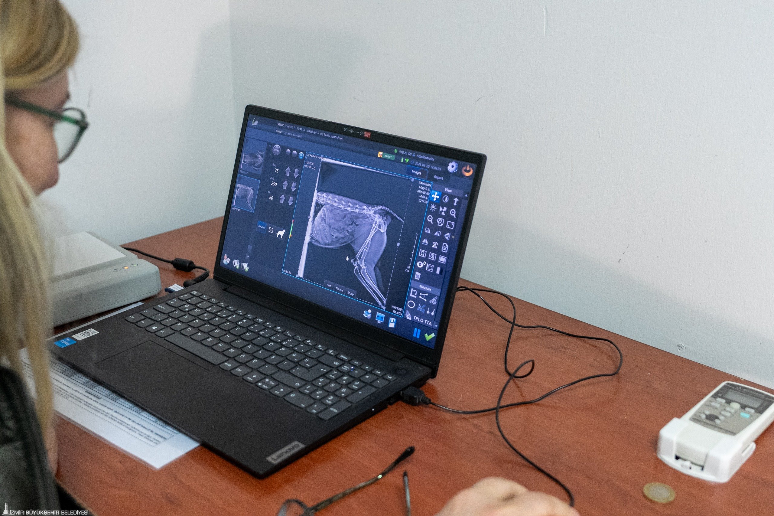 Ağır yaralı Saz Kedisi'nin yoğun tedaviyle mucize dönüşü: Özgürlüğe pençe attı 7 Ağır yaralı Saz Kedisi'nin yoğun tedaviyle mucize dönüşü: Özgürlüğe pençe attı