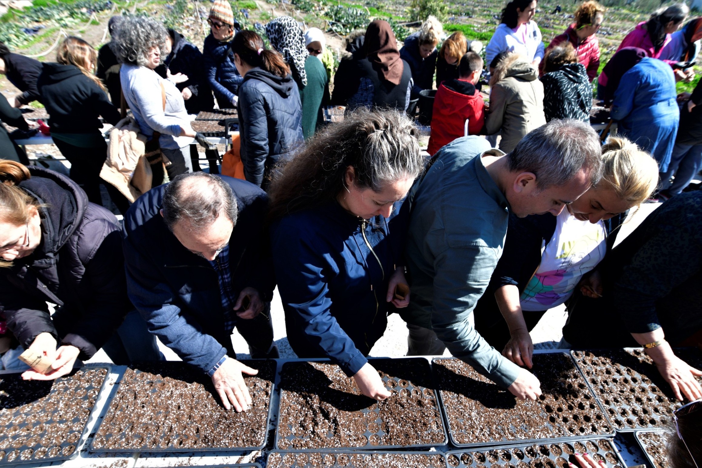 Bornova’da toprak kadınlarla canlanıyor: Kent bostanı sayısı artıyor