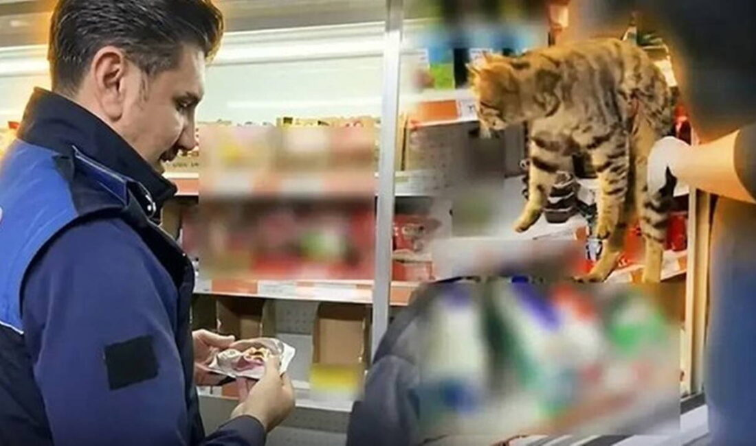 İstanbul Başakşehir’de bir zincir markete yönelik gerçekleştirilen rutin zabıta denetimi,