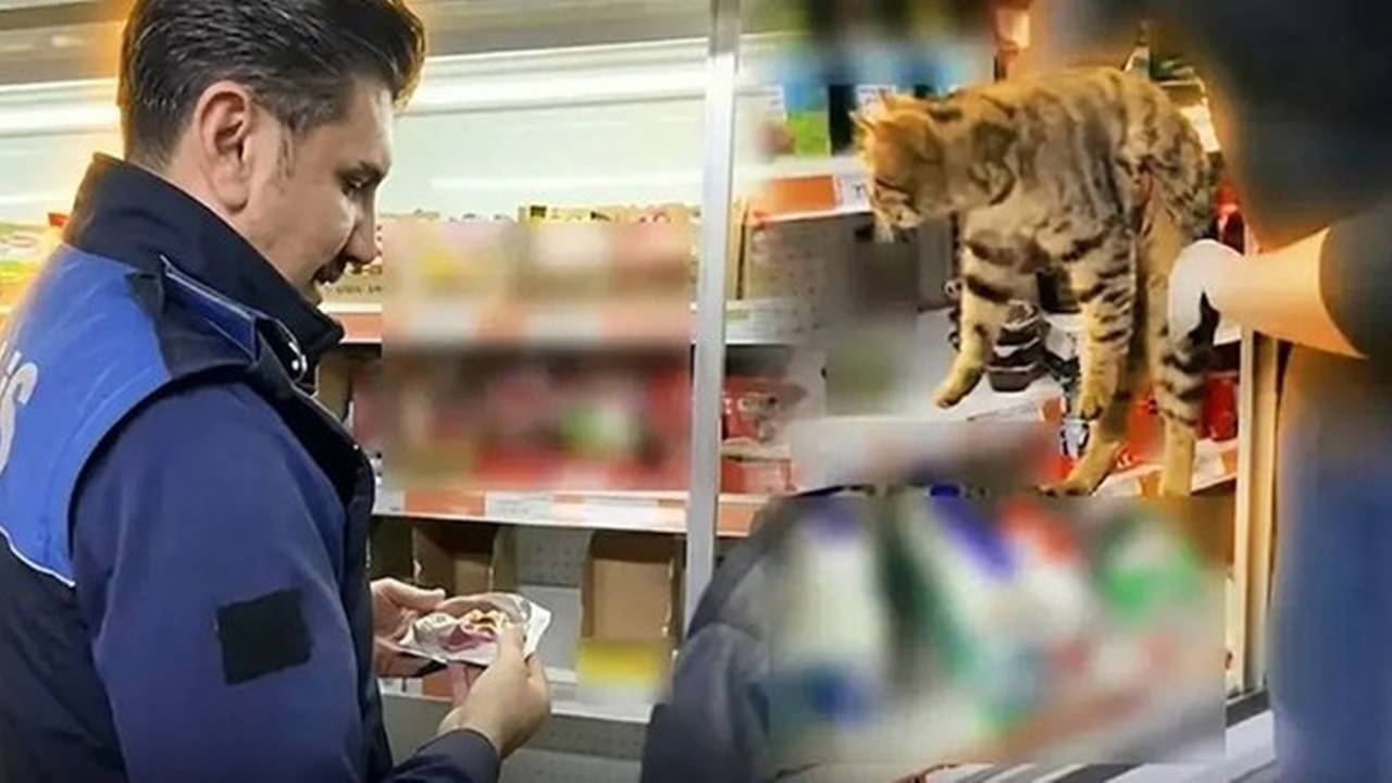 Denetimde dolaptan kedi çıktı: Bu kadar olmaz dedirtti