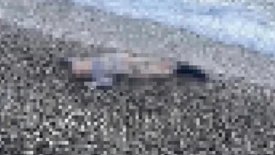 İzmir Karaburun'da sahilde sabah saatlerinde bulunan çocuk cesedi, göçmen trajedisi