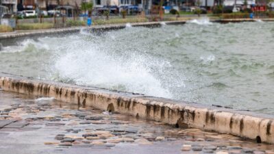 Deniz neden sokaklara taştı? İZDENİZ Başkanı Dr. Işıkhan Güler açıkladı: