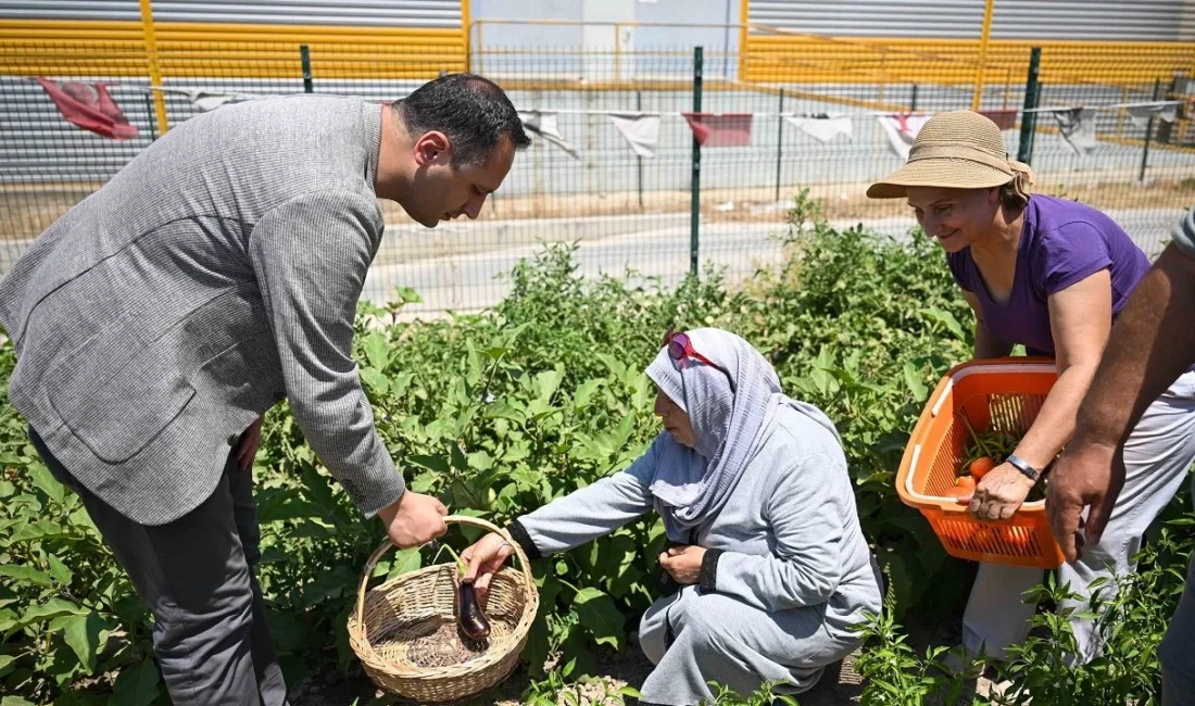 Bornova Belediyesi, Pınarbaşı Kent Bostanı’ndan yararlanan kadınlara yönelik sağlıklı beslenme