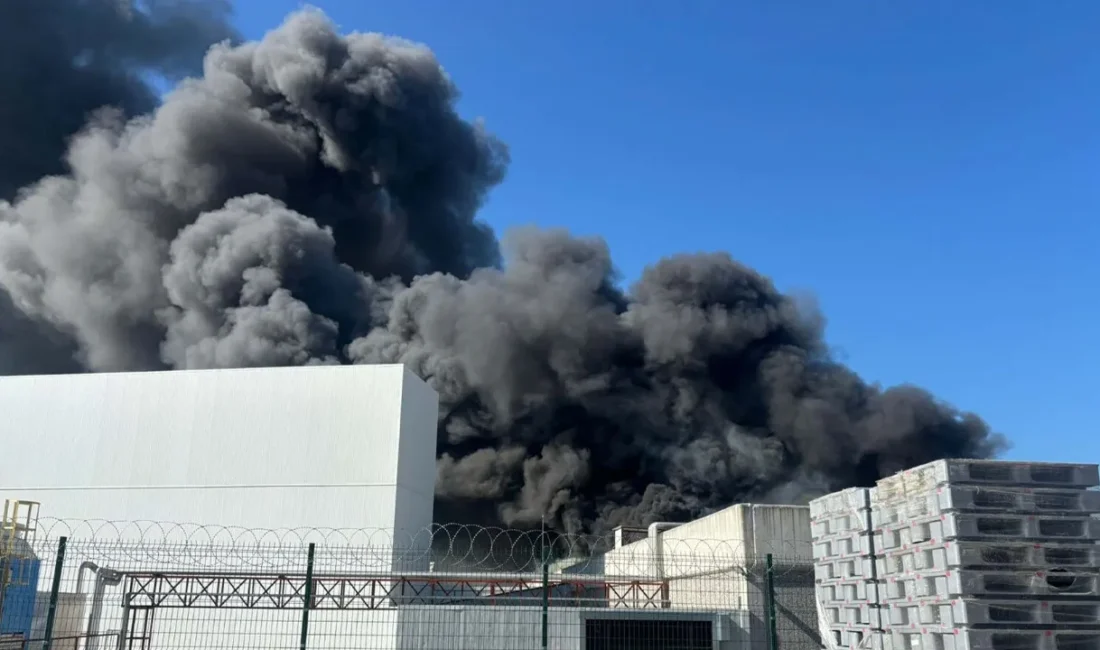 Manisa’nın Akhisar ilçesindeki Organize Sanayi Bölgesi’nde bulunan bir oyuncak fabrikasında