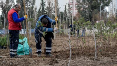 İzmir Büyükşehir Belediyesi, "kendi kendine yeten ekosistem" hedefiyle kentin atıl