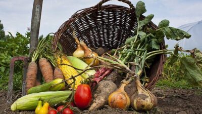 Gıda sektöründe sağlıklı yaşam trendi yükselirken, pazar tezgahlarından market raflarına