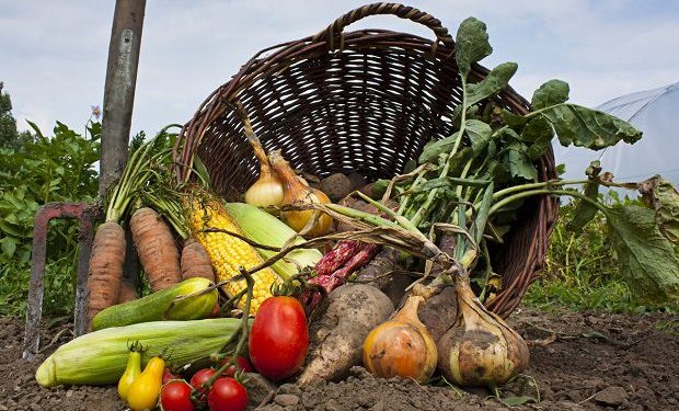 Gıda sektöründe sağlıklı yaşam trendi yükselirken, pazar tezgahlarından market raflarına