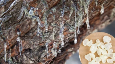 Menderes Belediyesi, bölgenin ekolojik zenginliğini korumak ve ilçeye yeni bir