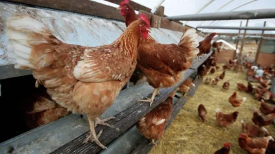 Tavuk eti fiyatlarına Ramazan ayı öncesinde yapılan yüzde 15’lik zam