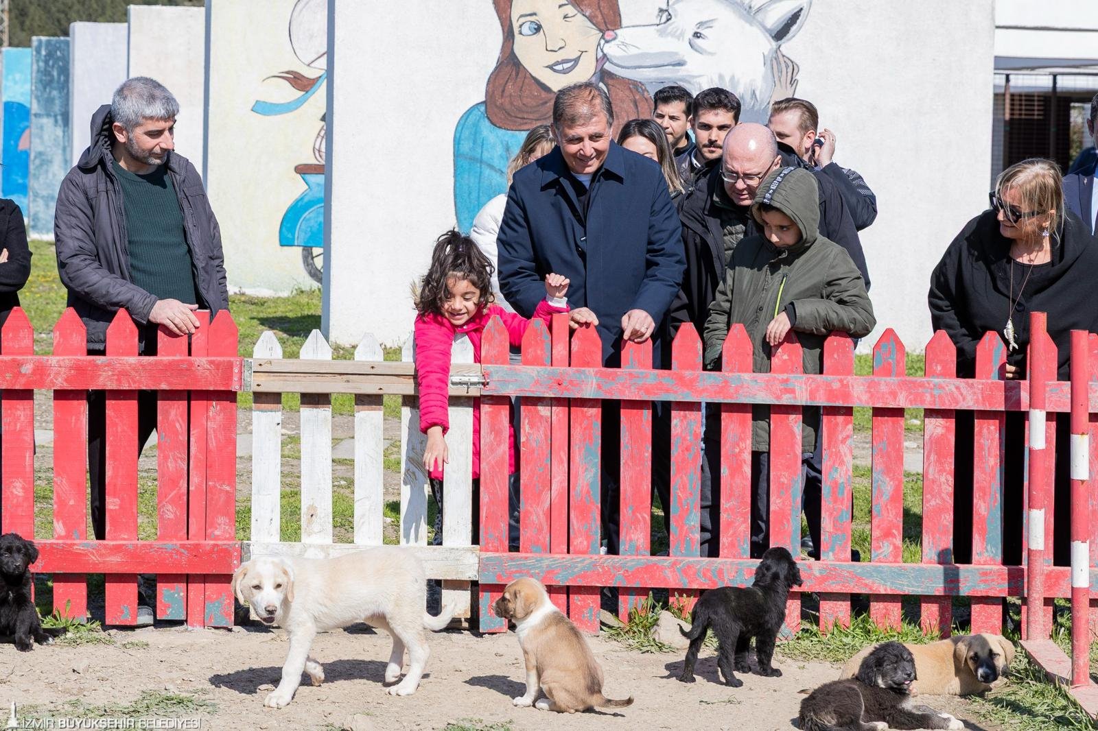 İzmir'de hedef sokakta sıfır sahipsiz can: 'Yarım saatinizi ayırın, bir cana umut olun' 4 İzmir'de hedef sokakta sıfır sahipsiz can: 'Yarım saatinizi ayırın, bir cana umut olun'