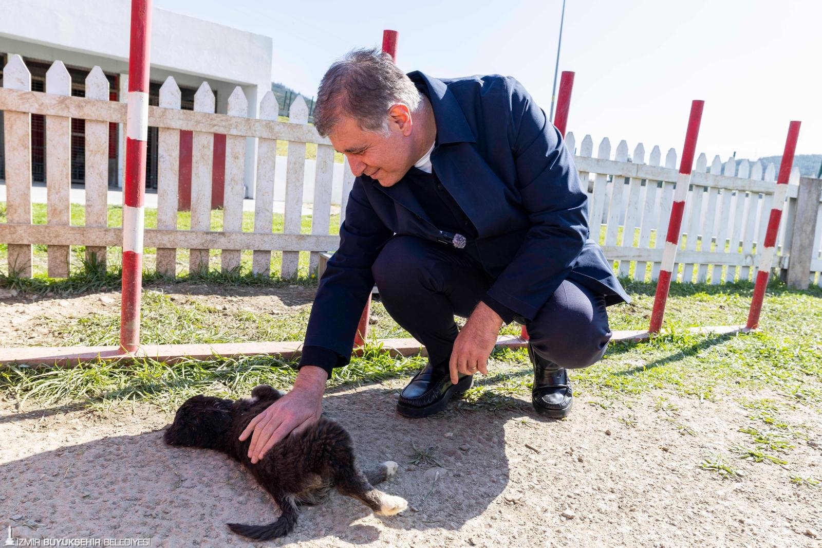 İzmir'de hedef sokakta sıfır sahipsiz can: 'Yarım saatinizi ayırın, bir cana umut olun' 8 İzmir'de hedef sokakta sıfır sahipsiz can: 'Yarım saatinizi ayırın, bir cana umut olun'