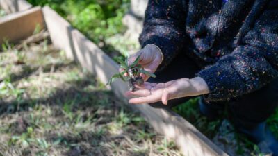 Meslek Fabrikası’nda eğitim alan emekli bir öğretmenin, Kemalpaşa’daki bahçesinde nasıl