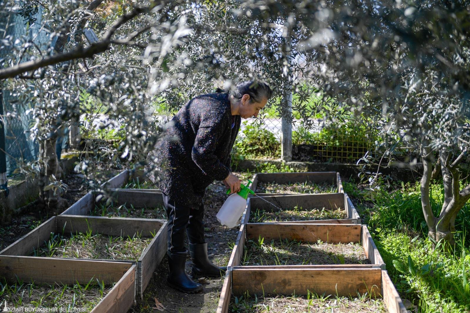 Meslek Fabrikası’ndan Kemalpaşa’ya uzanan başarı: Emekli öğretmen salep üreticisi oldu