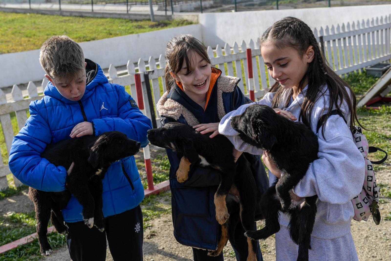 İzmir’de 2 bin 300 patili yuva bekliyor“: Satın alma, sahiplen” çağrısı