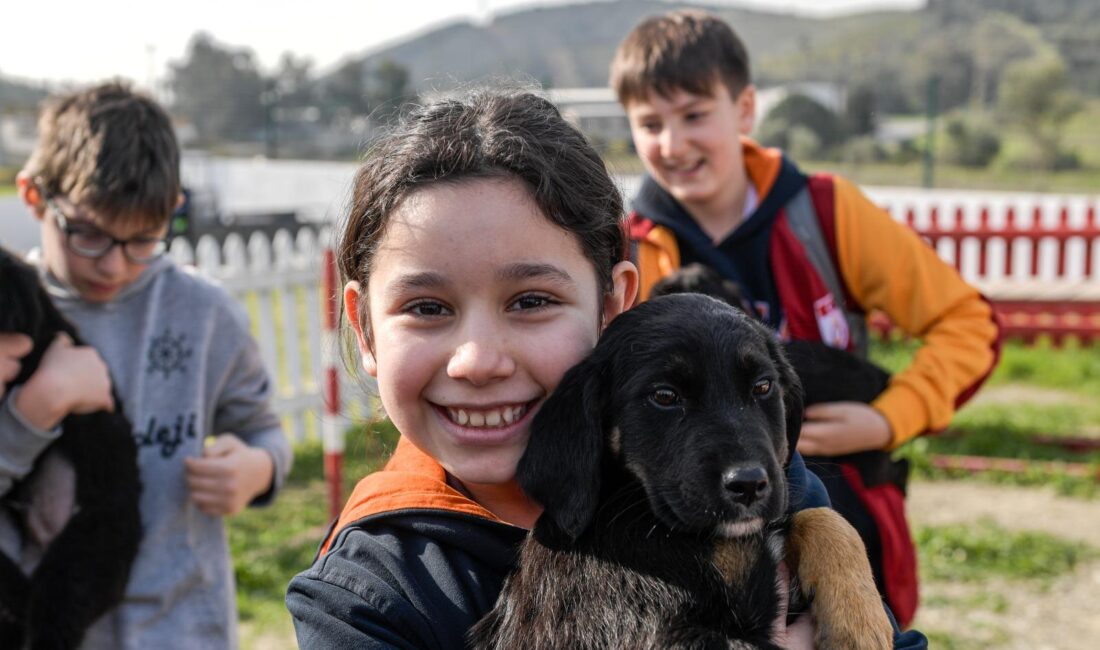 İzmir Büyükşehir Belediyesi, bakımevlerinde bulunan sahipsiz hayvanların sıcak bir yuvaya