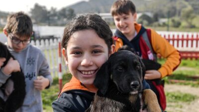 İzmir Büyükşehir Belediyesi, bakımevlerinde bulunan sahipsiz hayvanların sıcak bir yuvaya