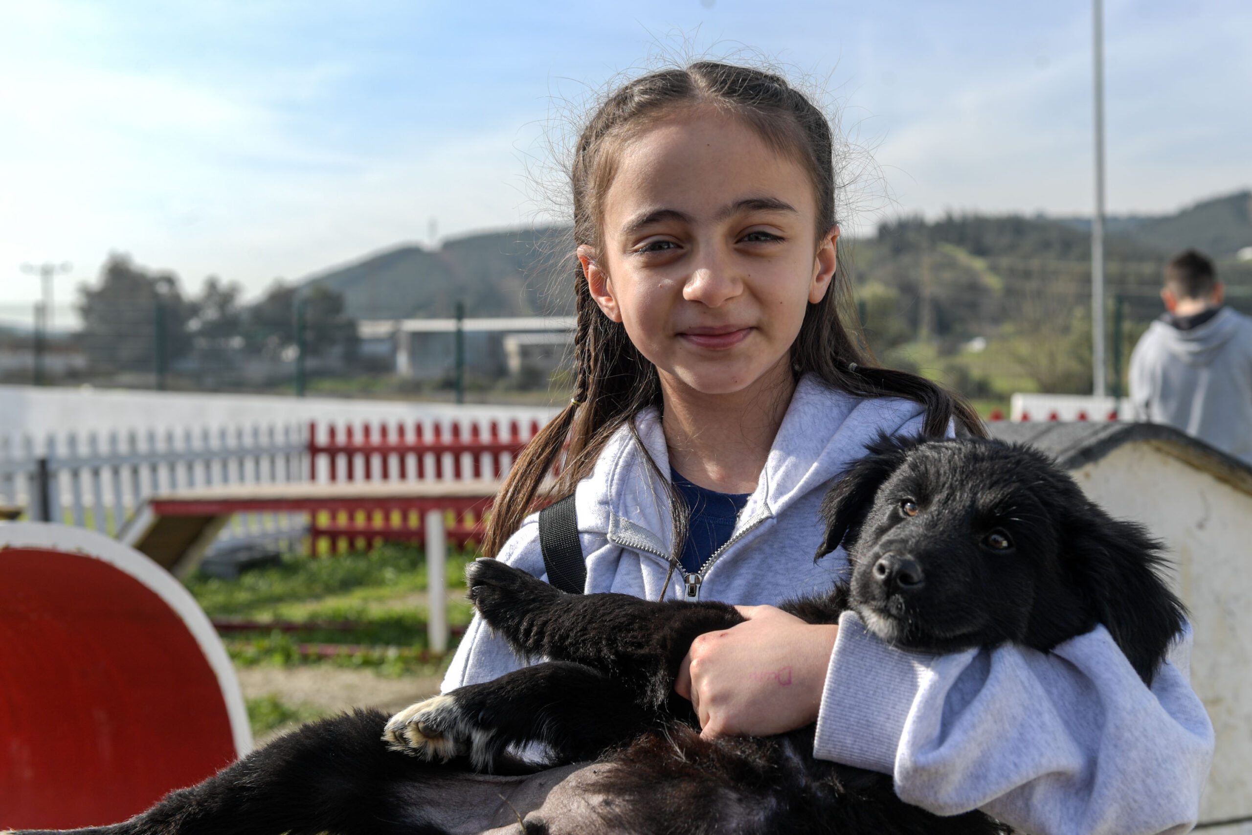 İzmir’de 2 bin 300 patili yuva bekliyor“: Satın alma, sahiplen” çağrısı