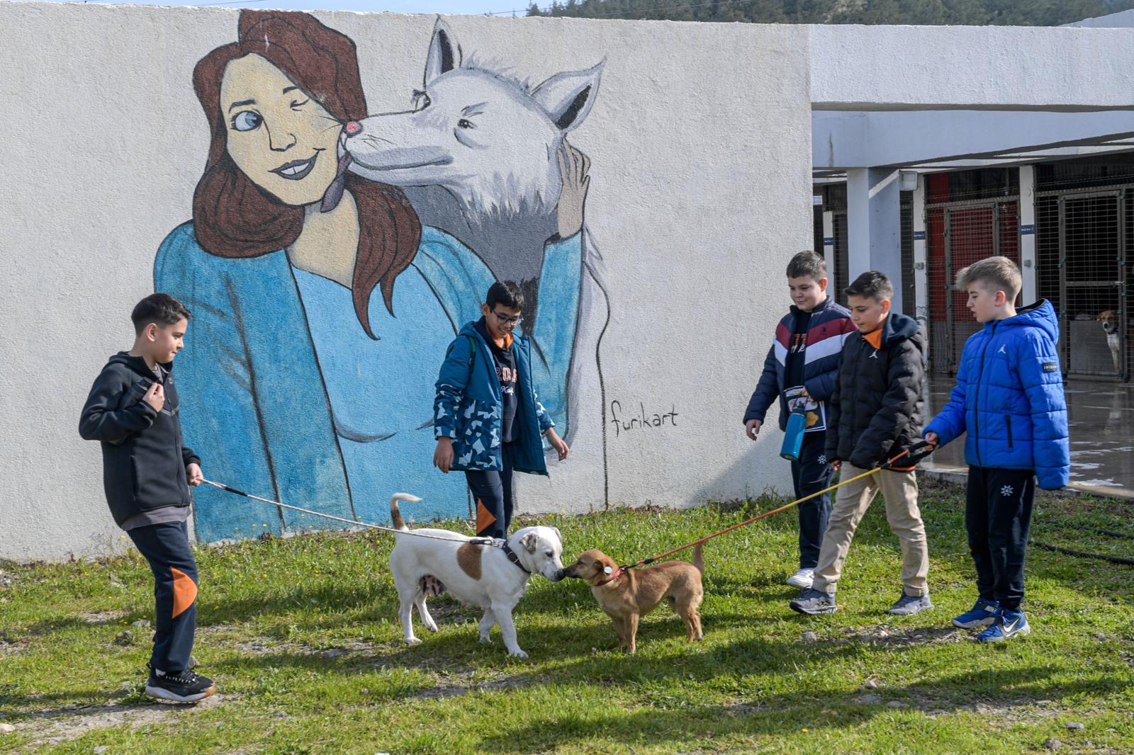 İzmir’de 2 bin 300 patili yuva bekliyor“: Satın alma, sahiplen” çağrısı