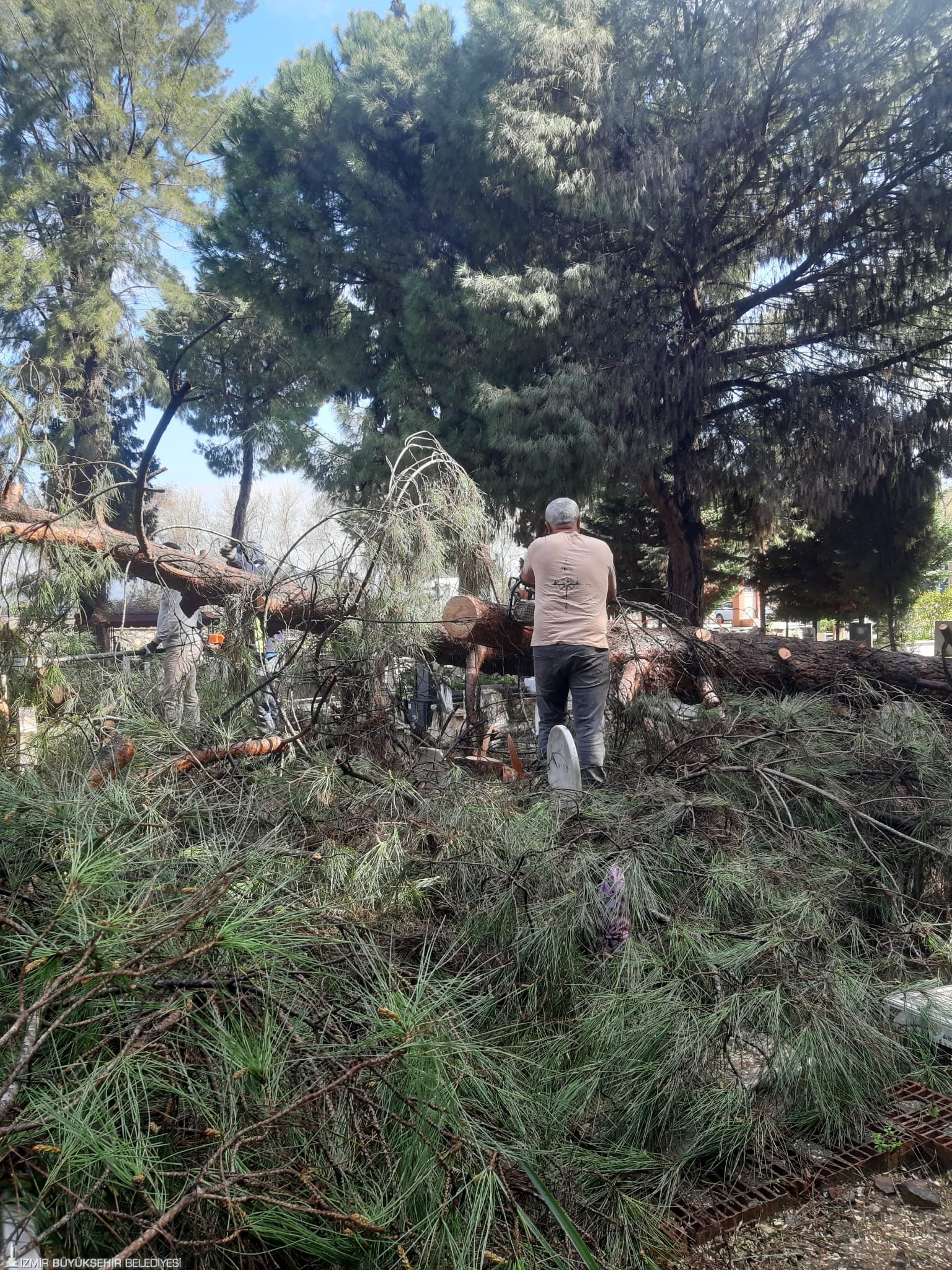 Fırtınadan etkilenen mezarlıklara hızlı müdahale: Hasar tespiti ve onarım tamam