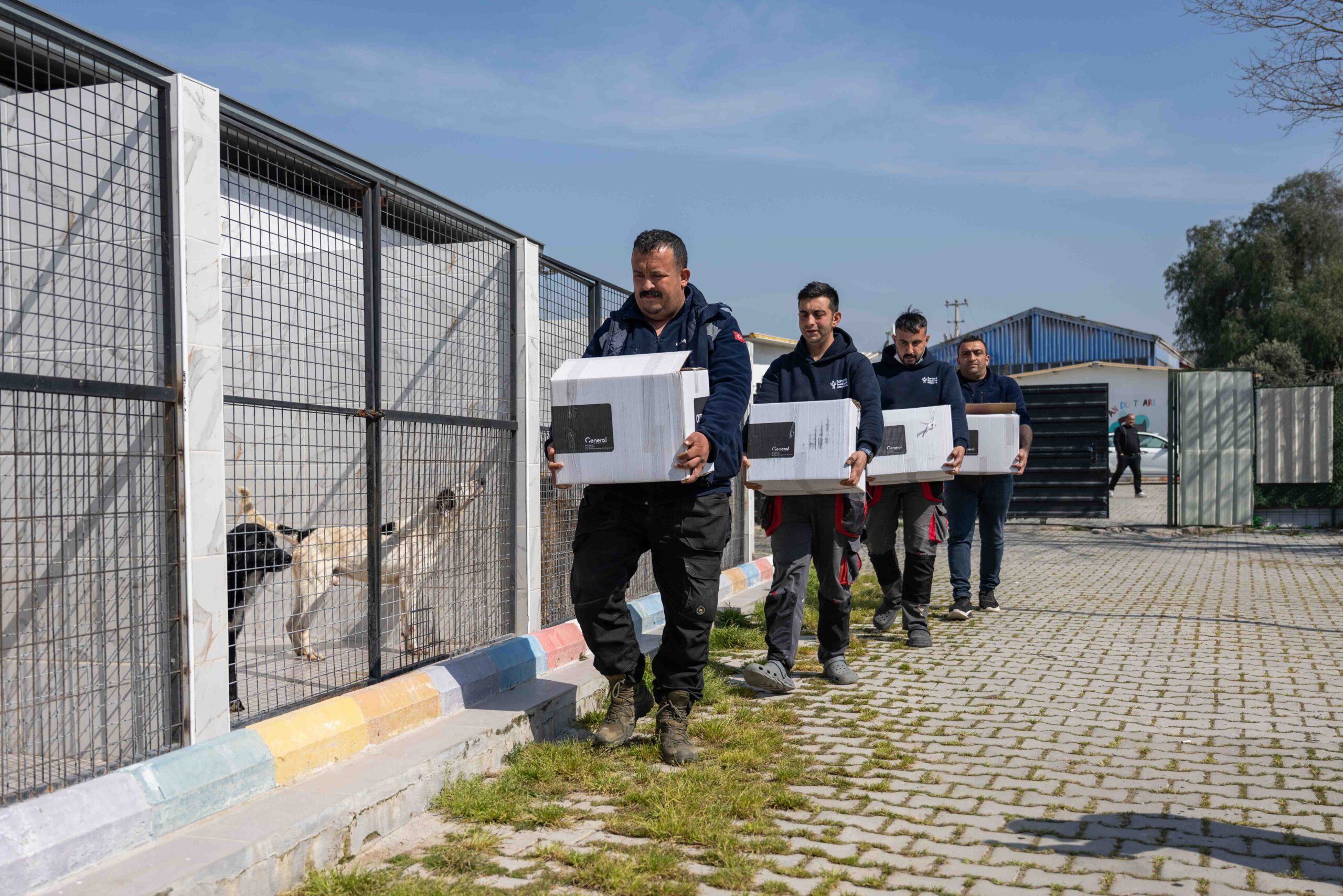 Bornova’da can dostlara büyük destek: 'Pati dostu dayanışma' sevindirdi 2 Bornova’da can dostlara büyük destek: 'Pati dostu dayanışma' sevindirdi