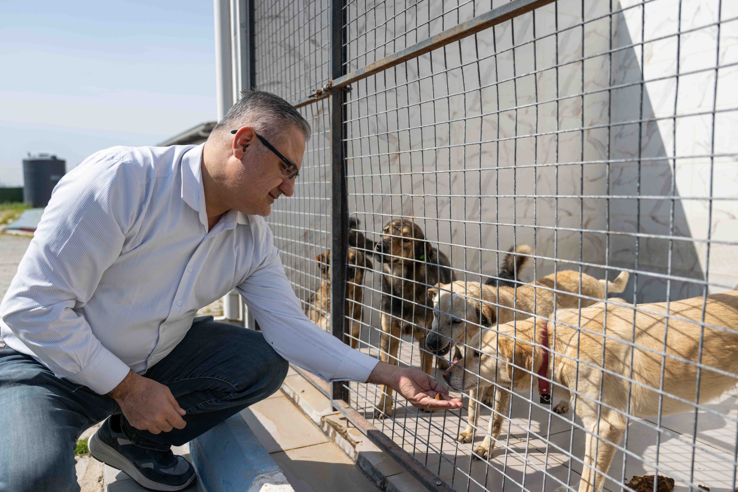 Bornova’da can dostlara büyük destek: 'Pati dostu dayanışma' sevindirdi 3 Bornova’da can dostlara büyük destek: 'Pati dostu dayanışma' sevindirdi