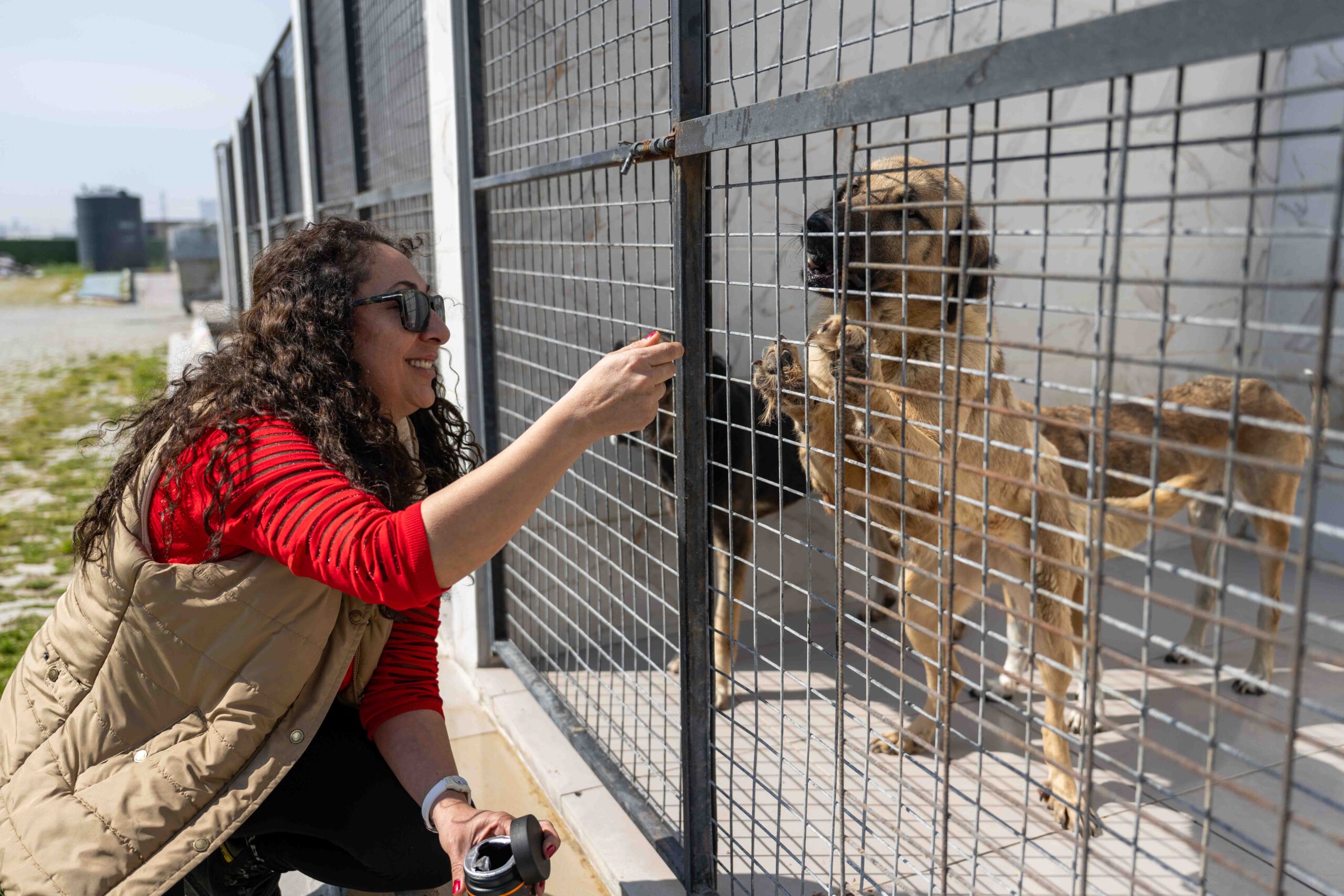 Bornova’da can dostlara büyük destek: 'Pati dostu dayanışma' sevindirdi 1 Bornova’da can dostlara büyük destek: 'Pati dostu dayanışma' sevindirdi