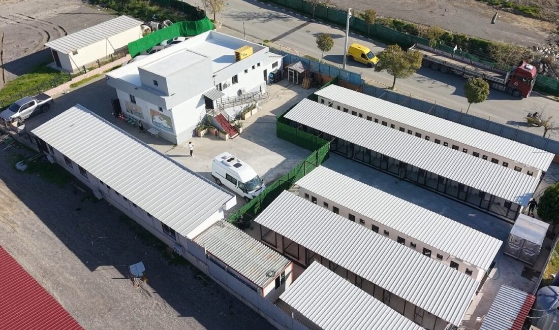 Bayraklı Belediyesi, Doğançay Şantiyesi bölgesindeki hayvan bakımevinde kapasite artırımı ve