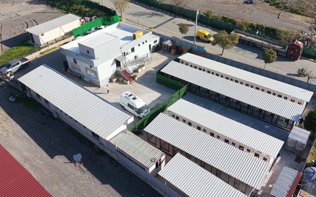 Bayraklı Belediyesi, Doğançay Şantiyesi bölgesindeki hayvan bakımevinde kapasite artırımı ve