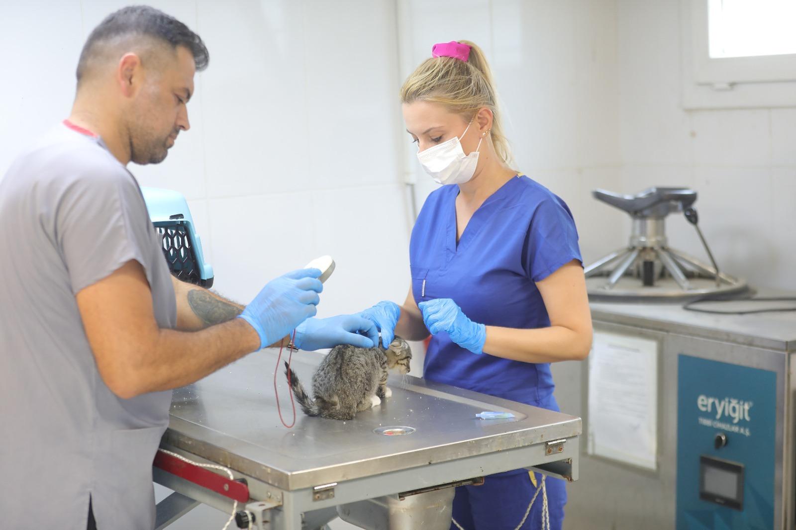 Bayraklı'da can dostlara modern yuva: Hayvan Bakımevi baştan aşağı yenilendi! 5 Bayraklı'da can dostlara modern yuva: Hayvan Bakımevi baştan aşağı yenilendi!