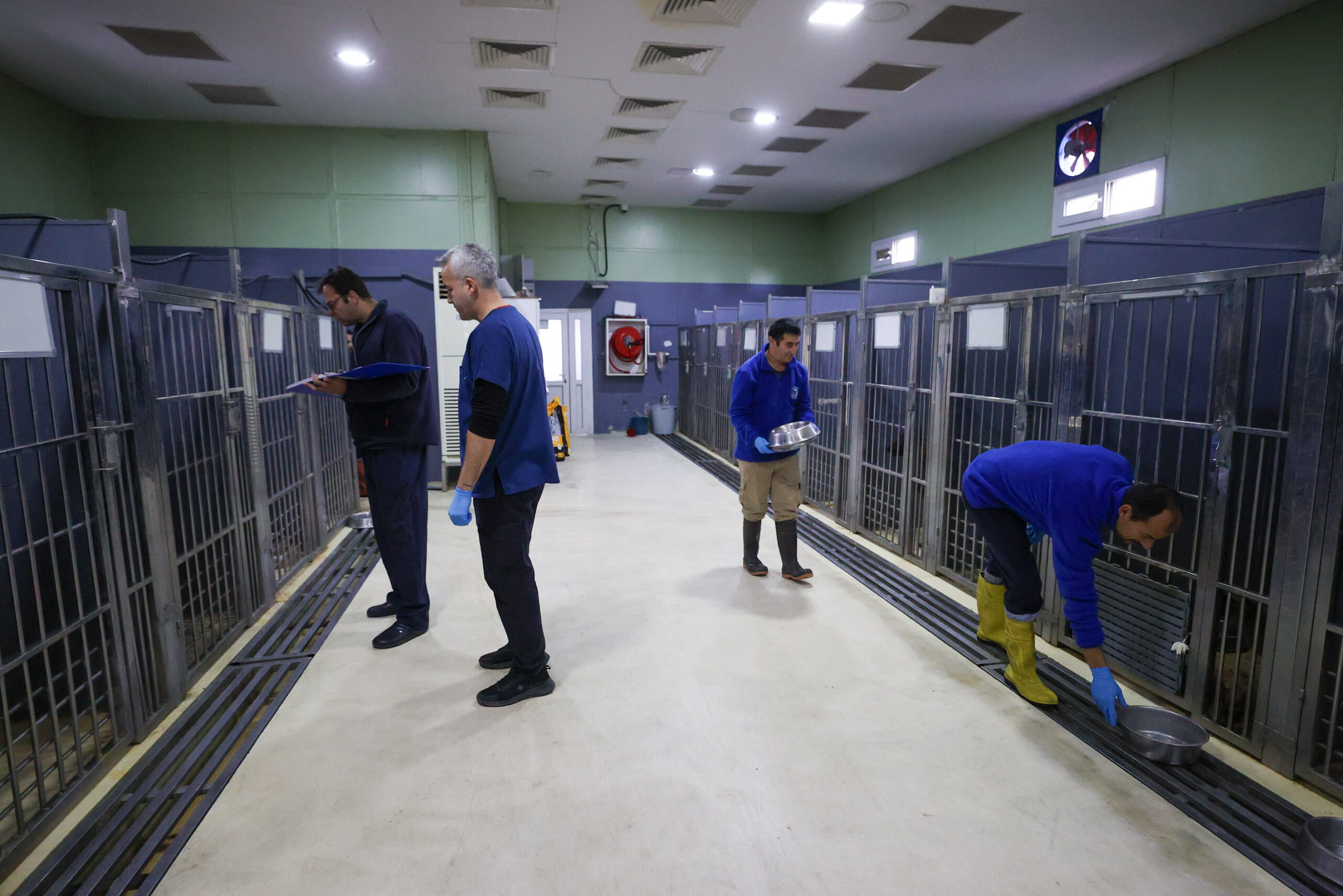 Buca’nın can dostlarına 'beş yıldızlı' konfor: Hijyenik padok, taze mama, çok sevgi