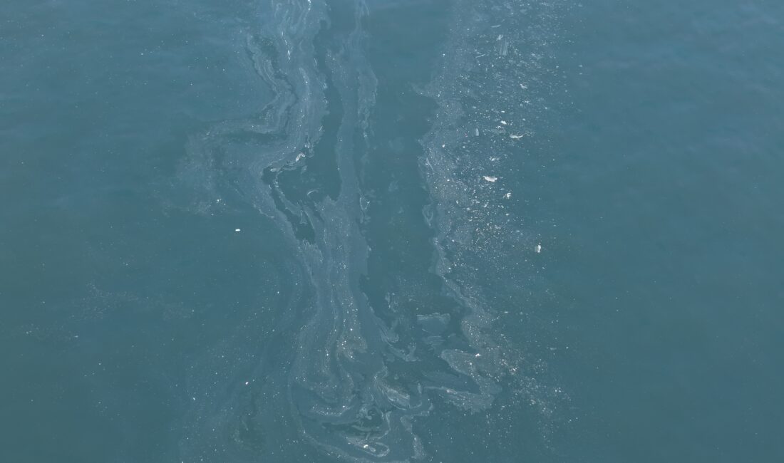 İzmir Körfezi, Kasım ayından bu yana süregelen çevre katliamına bugün