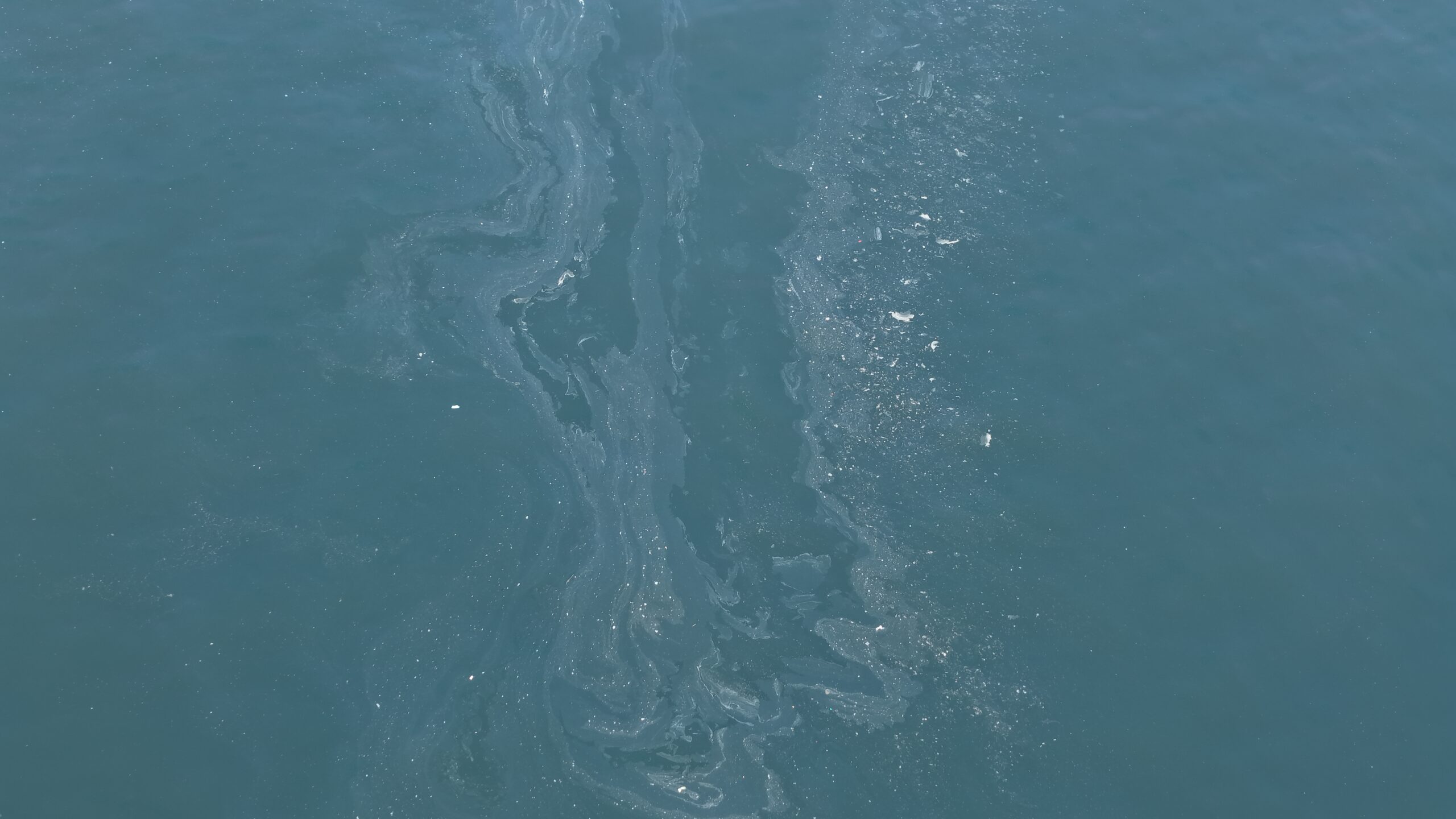 Körfez'de 7'inci 'kirletme skandalı': Yetki düğümü ne zaman çözülecek?