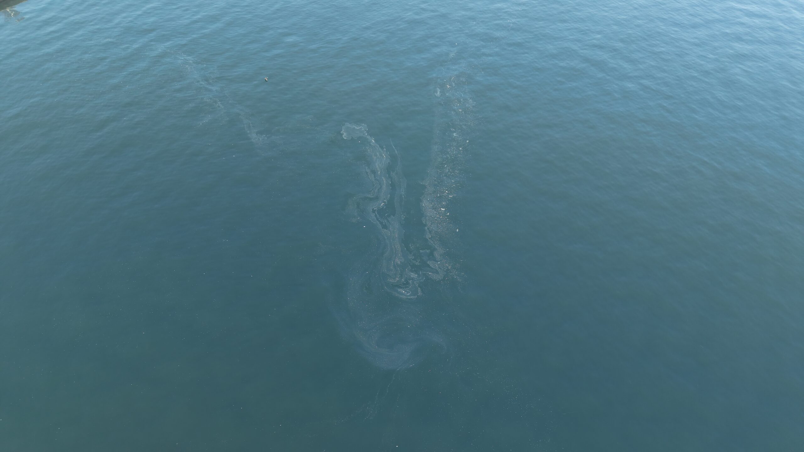 Körfez'de 7'inci 'kirletme skandalı': Yetki düğümü ne zaman çözülecek?