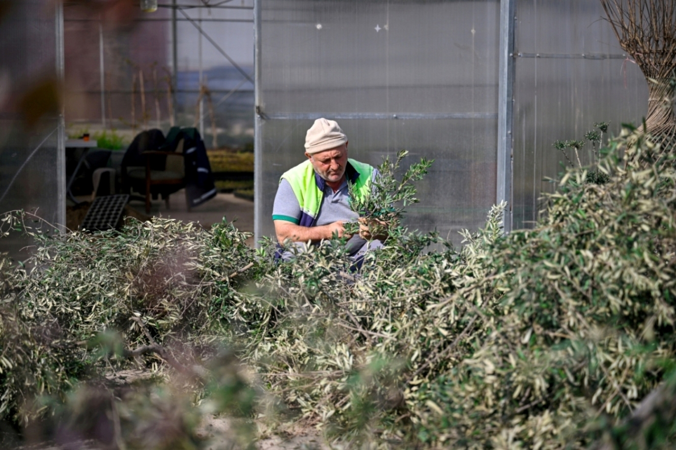Bornova'da bahar seferberliği: Park ve bahçelerde hummalı çalışma