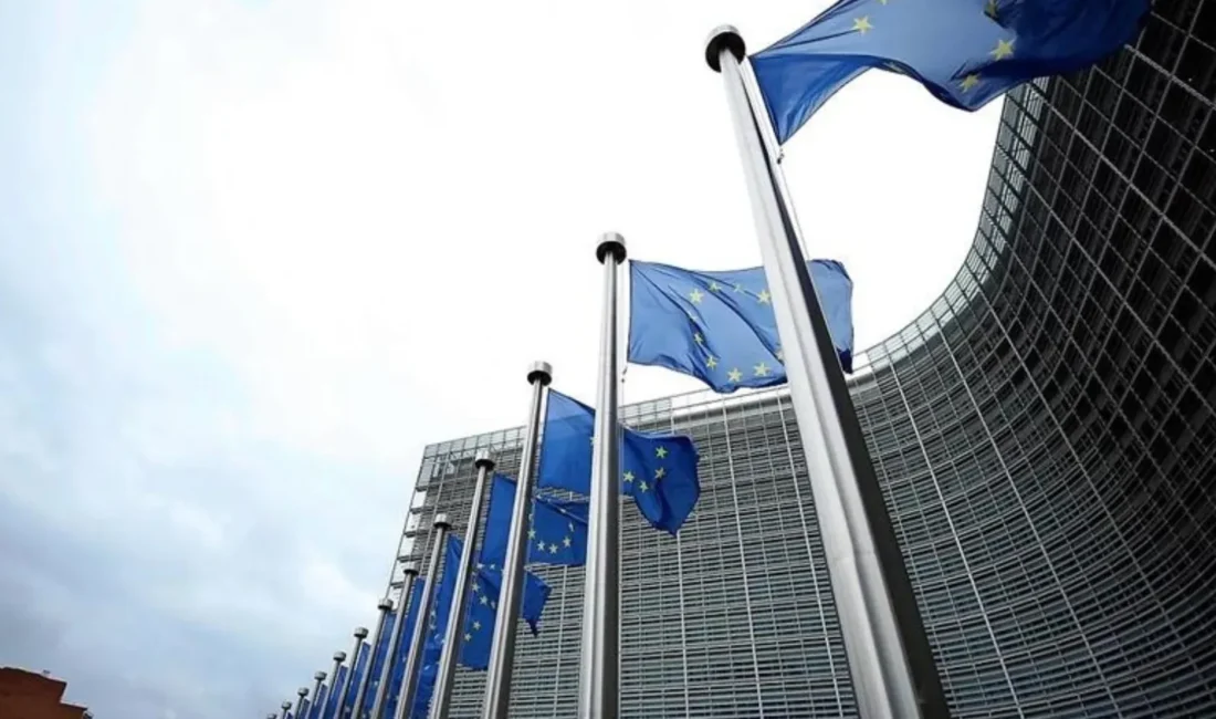 Avrupa Birliği'nin (AB) resmi internet sitesi "Europa.eu" geniş çaplı bir