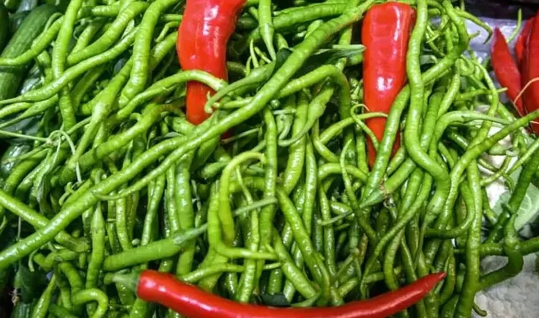 Savaşın tetiklediği enerji krizi ve mazotun 80 liraya dayanması, sebze