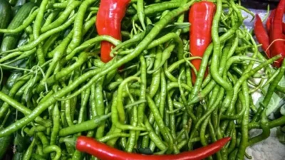 Savaşın tetiklediği enerji krizi ve mazotun 80 liraya dayanması, sebze