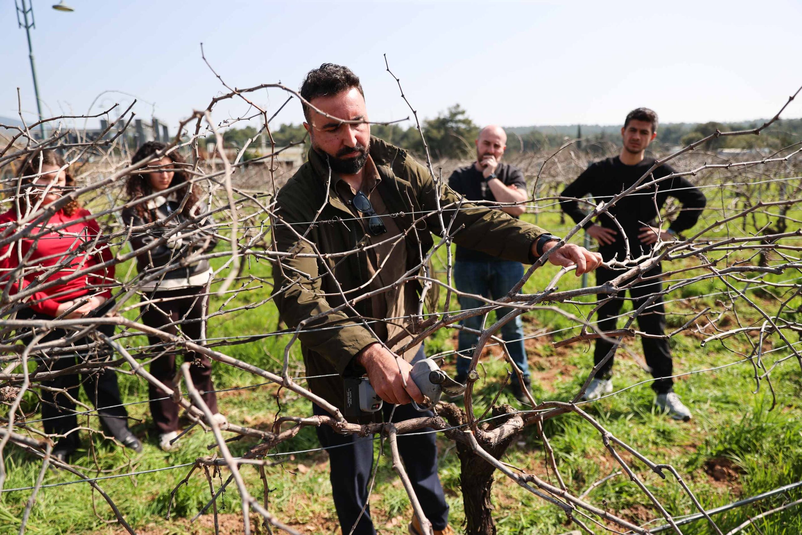 Buca'da tarım ve akademi el ele: Bilgi toprakla buluşuyor