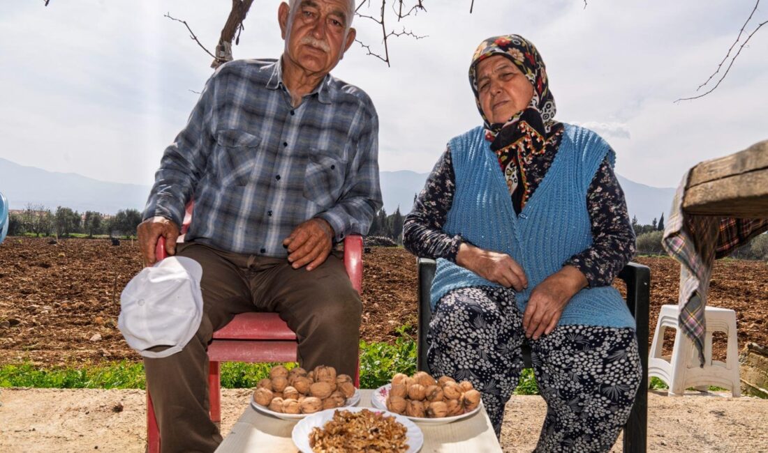 Kemalpaşa Sütçüler’de 20 yıllık emekleri bir gecede katledilen 70 yaşındaki
