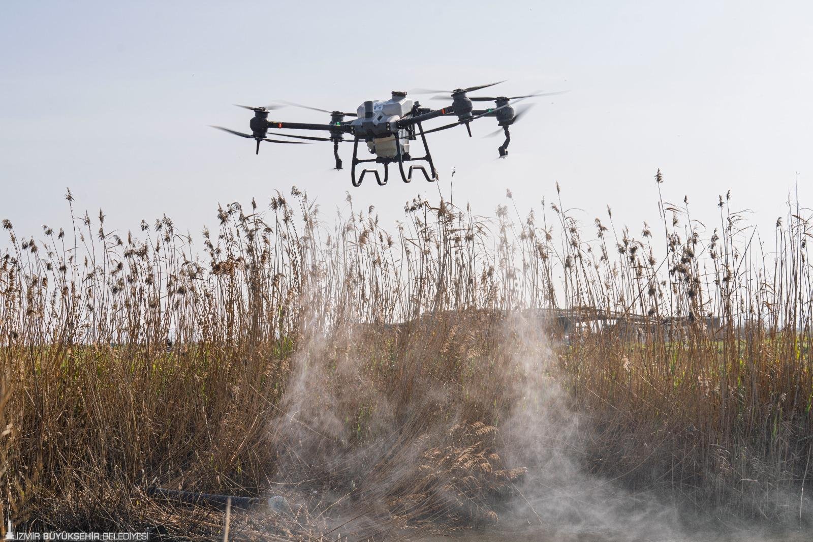 İzmir'de sivrisinekle mücadelede teknoloji sahada: Drone'larla 254 bin noktada ilaçlama