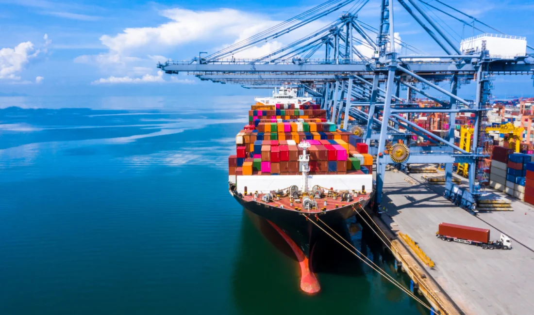 Cumhuriyetin ilk yıllarında Türkiye’yi sırtlayan, ihracatın %80’ini göğüsleyen Ege Bölgesi’nde