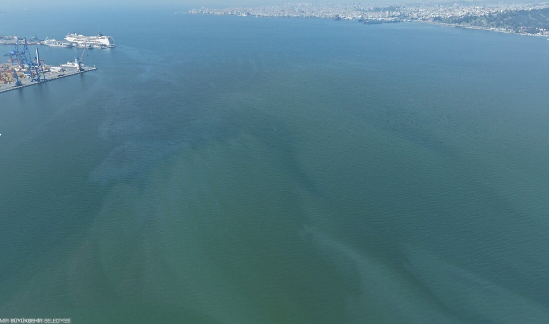 İzmir Körfezi’nde rutin dron denetimleri sırasında Kasım ayından bu yana