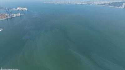 İzmir Körfezi’nde rutin dron denetimleri sırasında Kasım ayından bu yana