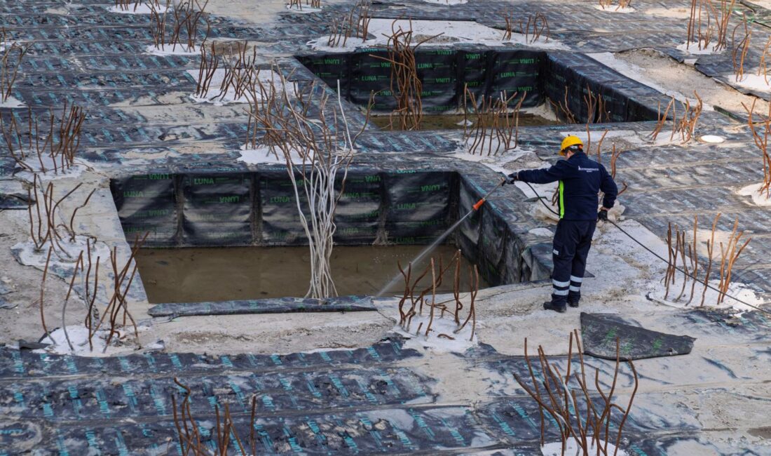 Sokaklarda, parklarda karşınıza çıkan o uzun bacaklı sinekler meğer "bitki